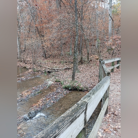 Starrygazer's Closet - Picture 1 of 1